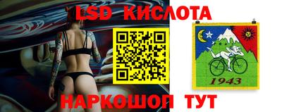 стафф Свободный