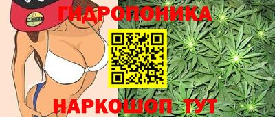 стафф Свободный