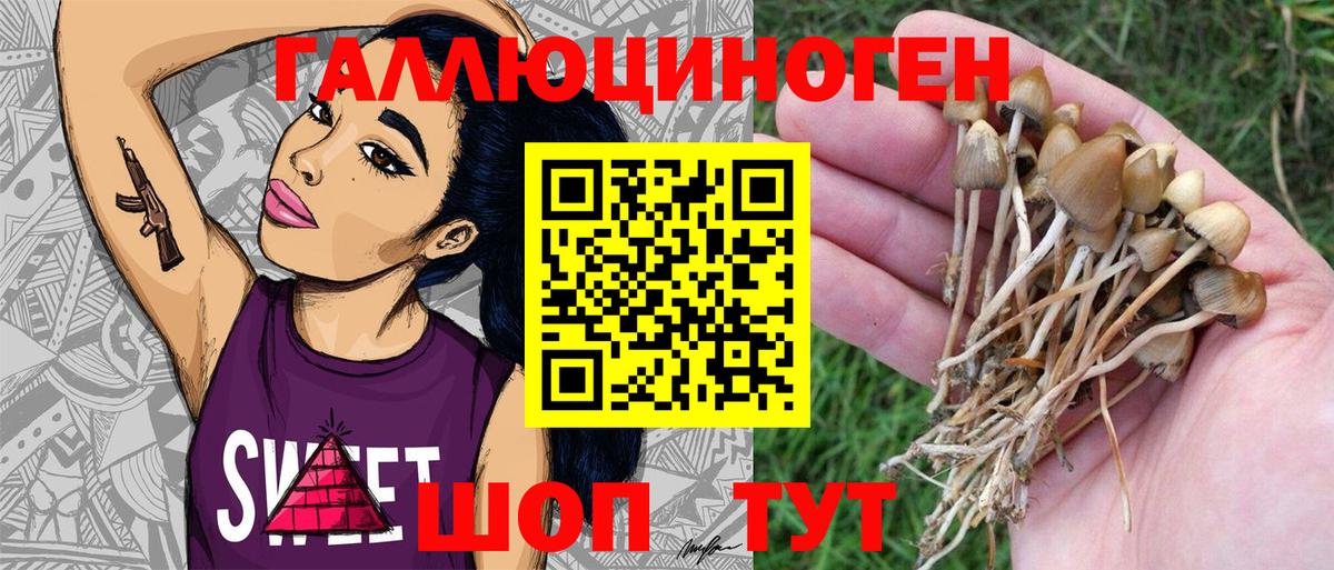 Псилоцибиновые грибы Magic Shrooms  Вход с VPN  Новокубанск  Галлюциногенные грибы мухоморы 
