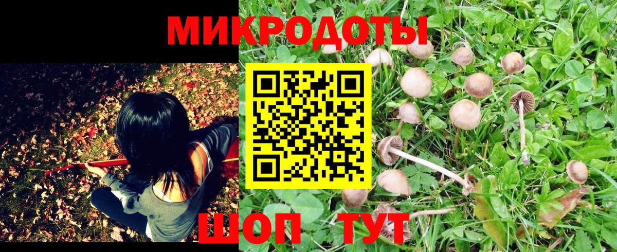 Псилоцибиновые грибы MAGIC MUSHROOMS Новокубанск